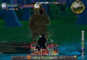 Fen and the Bear